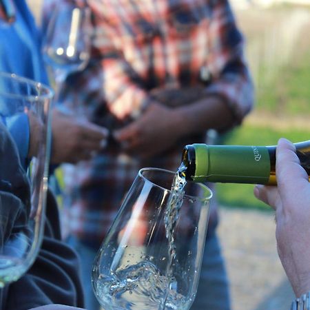 Quinta Pousada De Fora Wines & Tourism Guimarães Kültér fotó