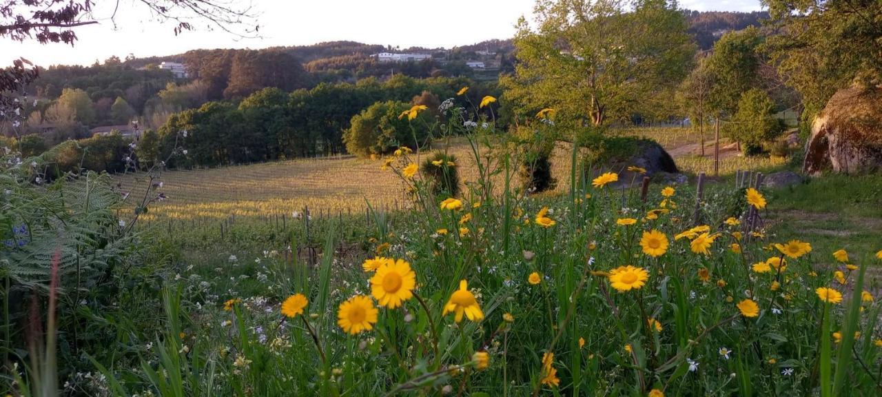 Quinta Pousada De Fora Wines & Tourism Guimarães Kültér fotó