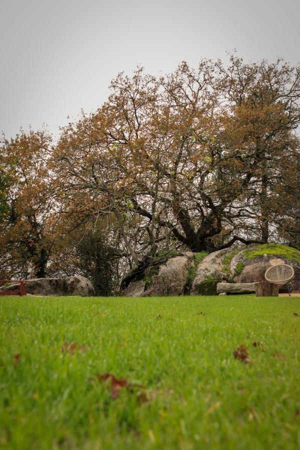 Quinta Pousada De Fora Wines & Tourism Guimarães Kültér fotó