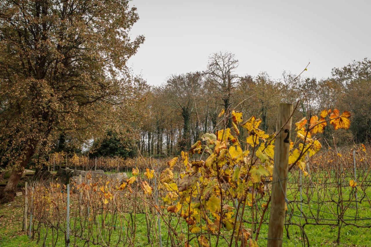 Quinta Pousada De Fora Wines & Tourism Guimarães Kültér fotó