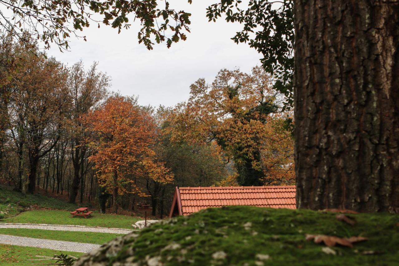 Quinta Pousada De Fora Wines & Tourism Guimarães Kültér fotó