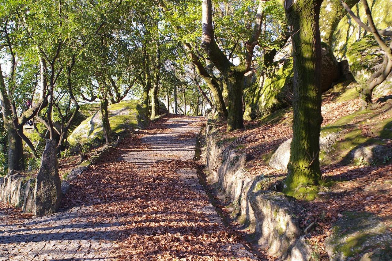 Quinta Pousada De Fora Wines & Tourism Guimarães Kültér fotó