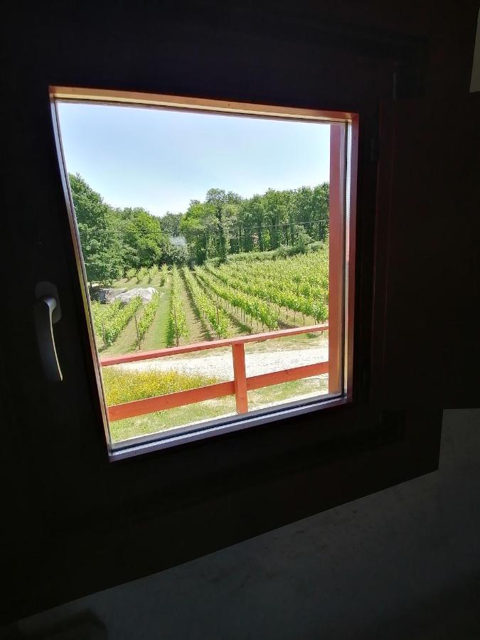 Quinta Pousada De Fora Wines & Tourism Guimarães Kültér fotó