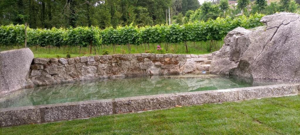 Quinta Pousada De Fora Wines & Tourism Guimarães Kültér fotó