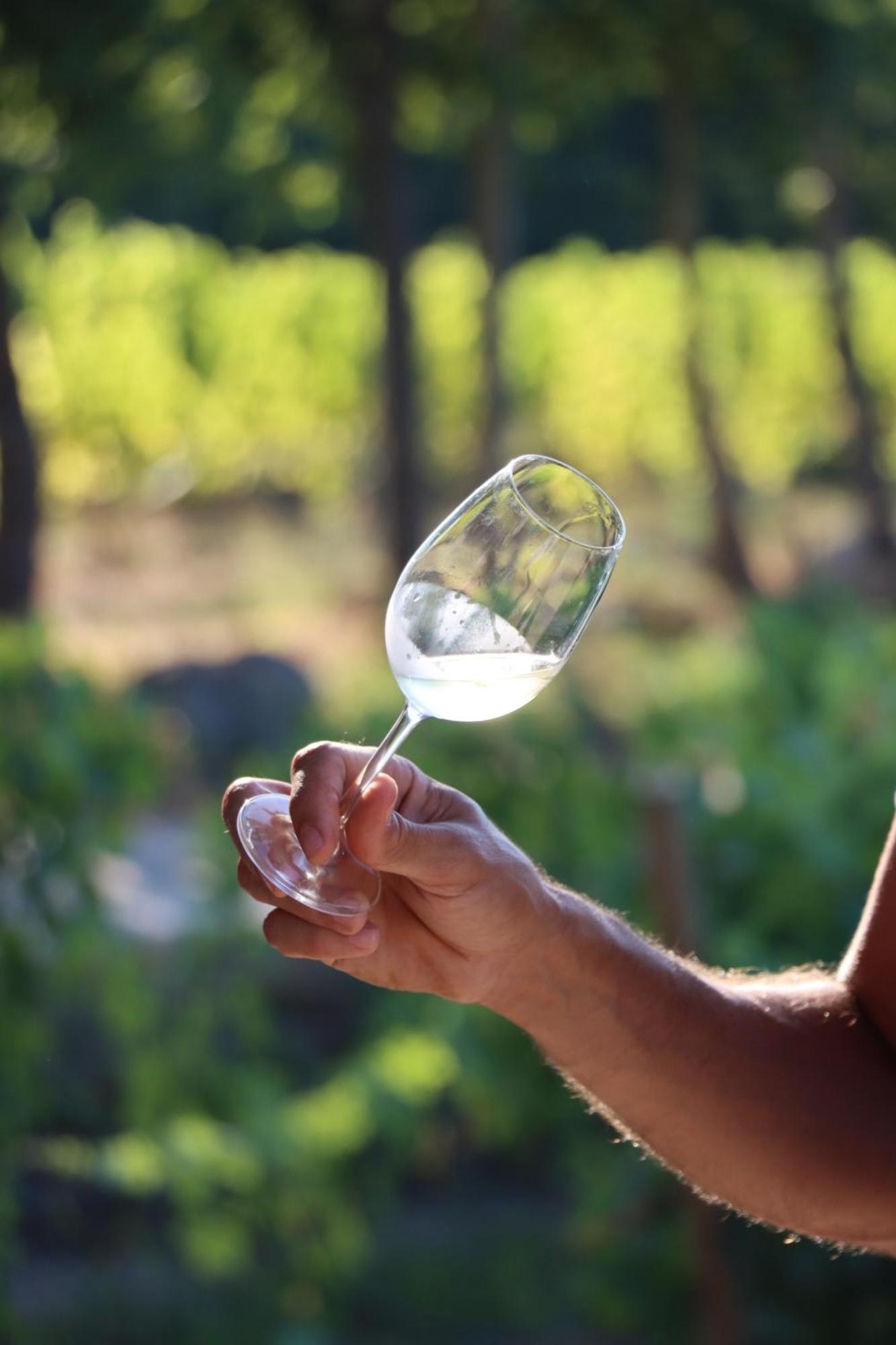 Quinta Pousada De Fora Wines & Tourism Guimarães Kültér fotó