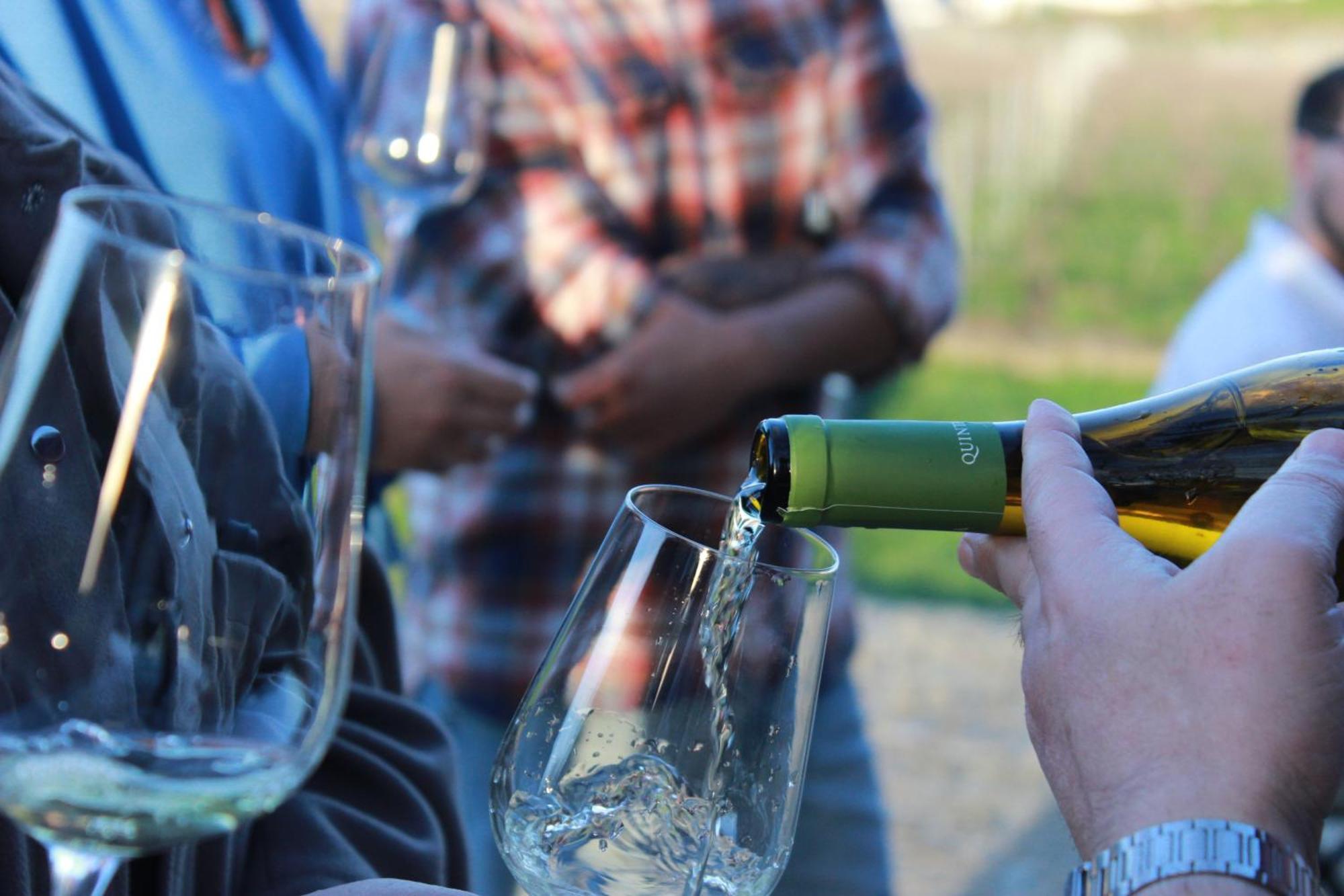 Quinta Pousada De Fora Wines & Tourism Guimarães Kültér fotó